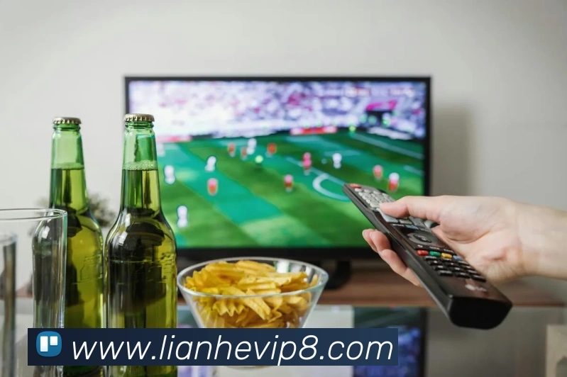 世界杯官方网络平台发展历程